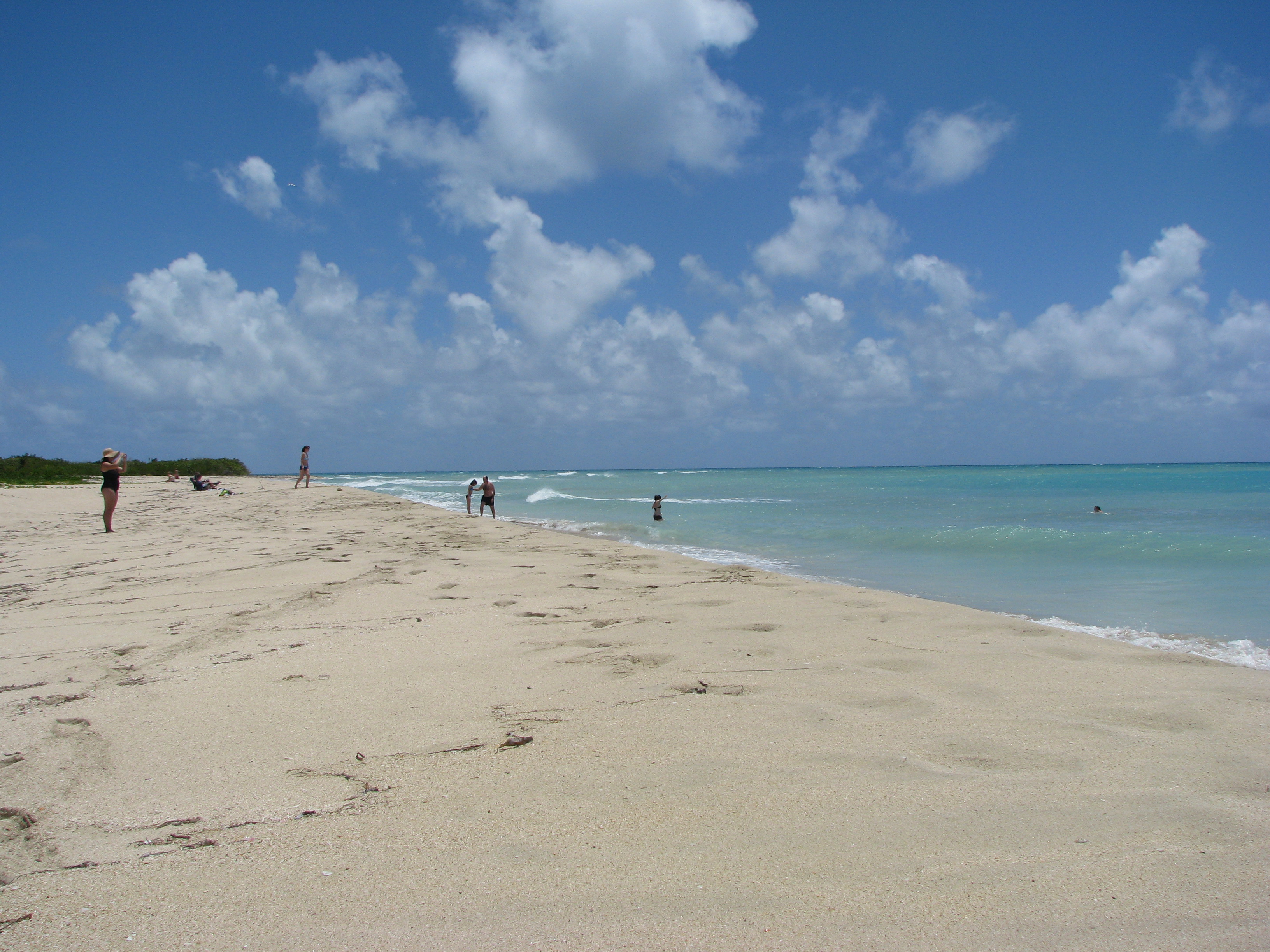 Sandy Point Wildlife Reserve St Croix