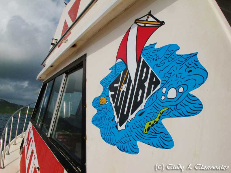 St Croix Ultimate Blue Water Adventures SCUBA Reliance
