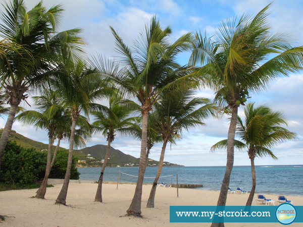 Incredible views at A Taste of St Croix
