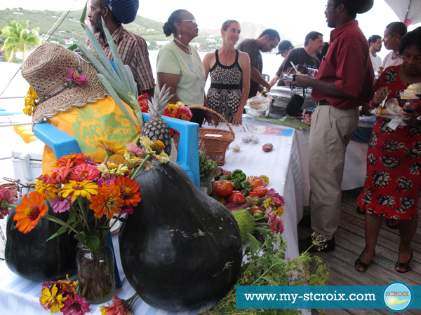 Taste of St Croix Art Farm Taste of St Croix Art Farm