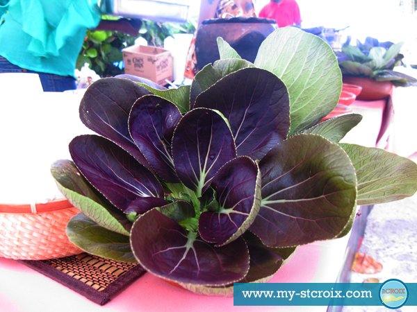 A Taste of St Croix local produce A Taste of St Croix local produce