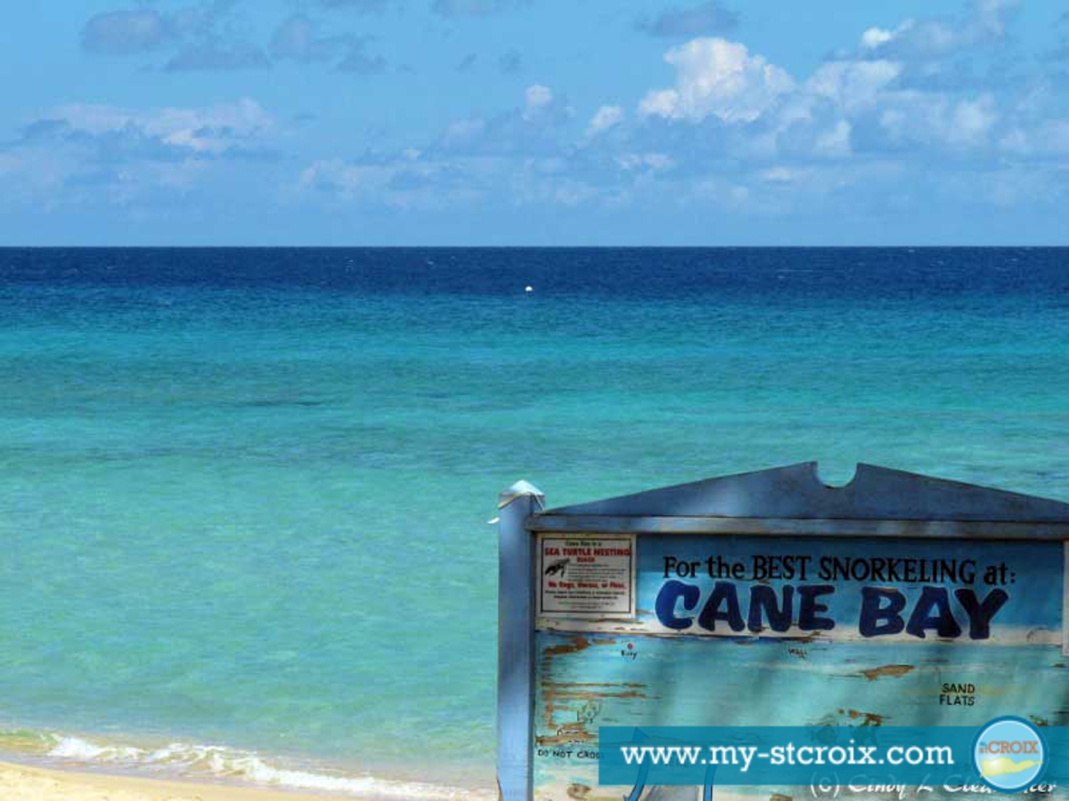 cane bay beach snorkeling st croix