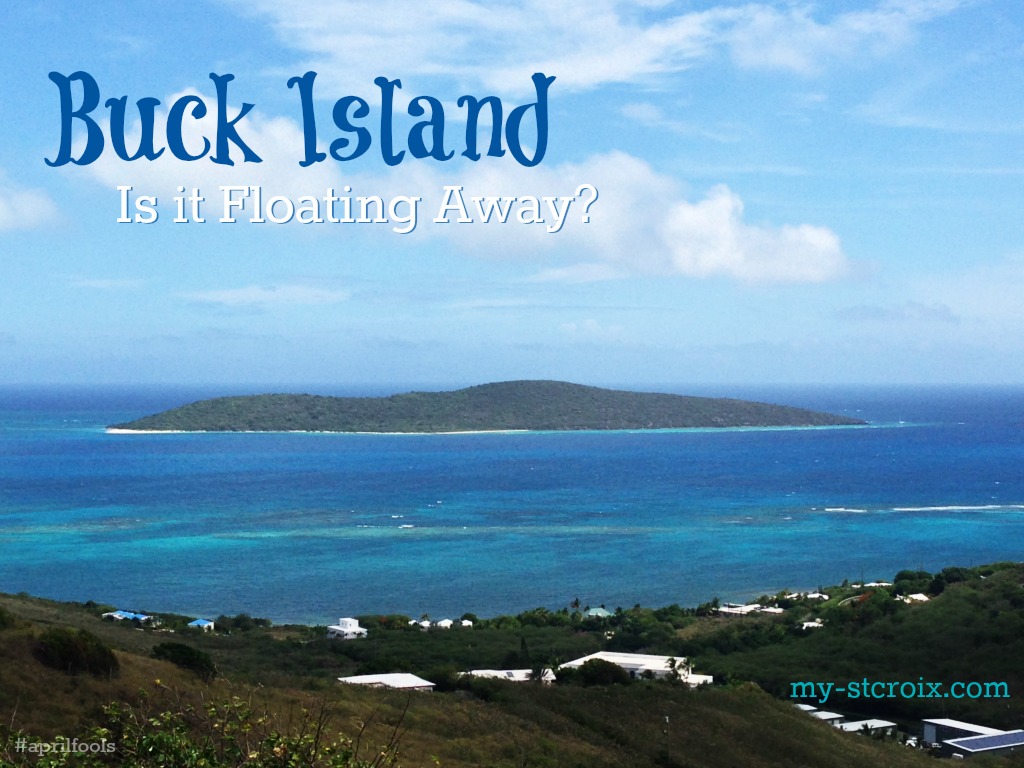 buckisland-floating