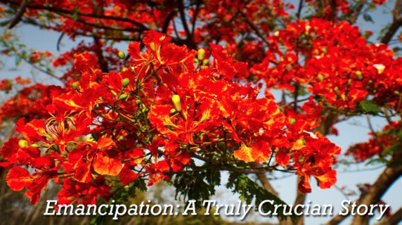 Emancipation A Crucian History