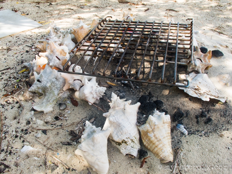 Shell Fire Pit