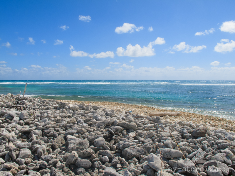 Shell_Island-35