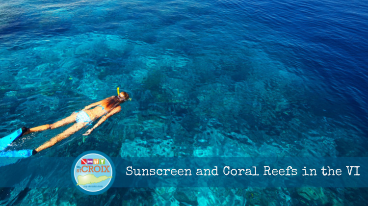 Protecting Coral Reefs from Harmful Sunscreen