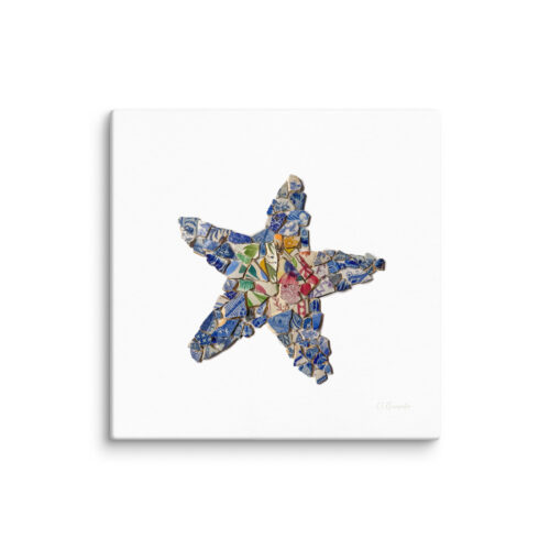 Chaney Starfish Canvas